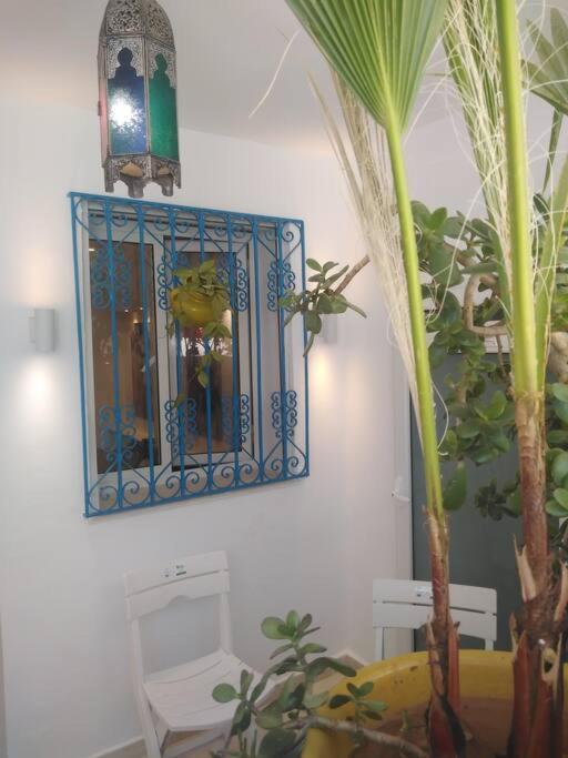 Cosy Appartement In "Sidi Bou Said" Екстер'єр фото