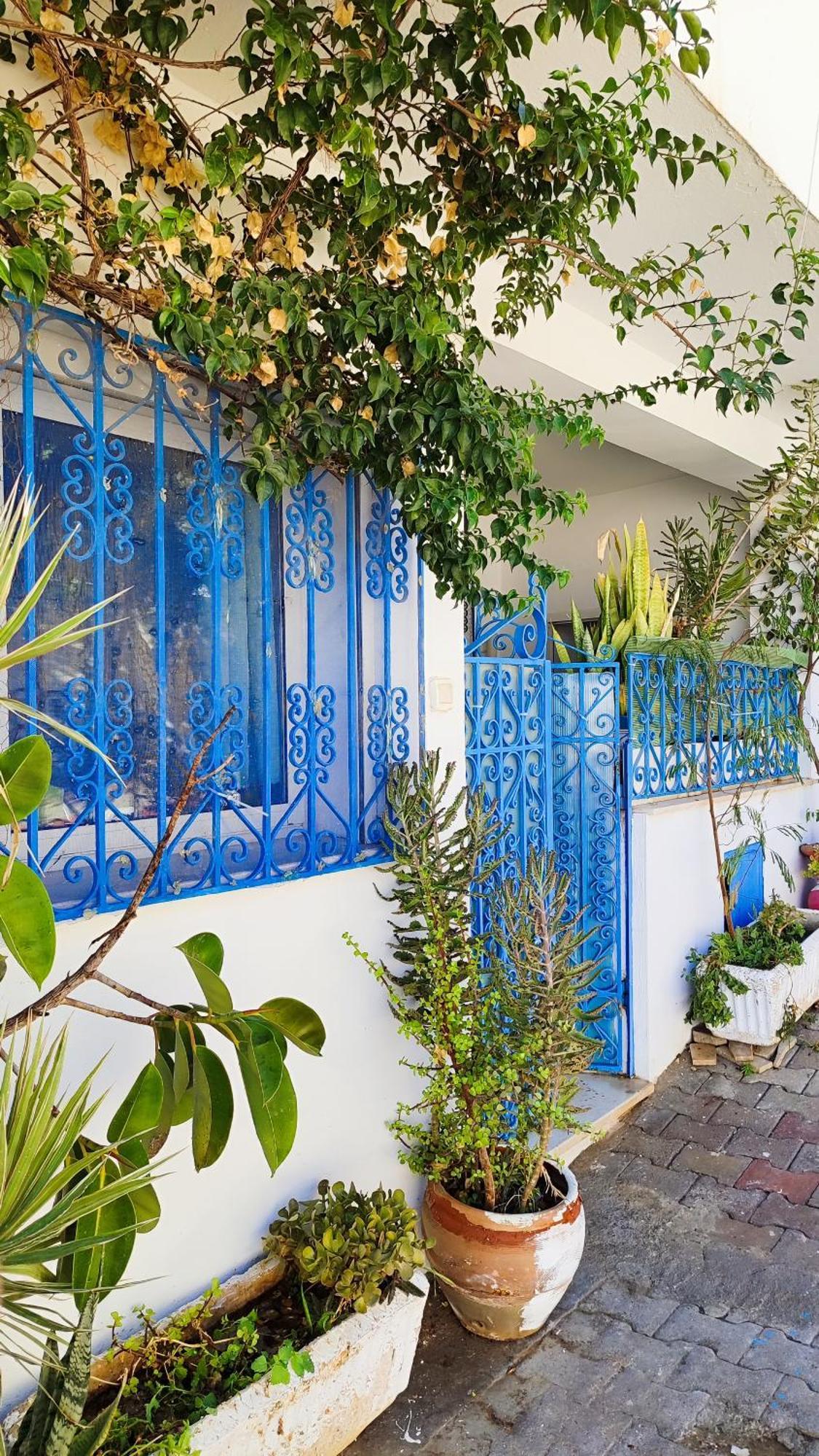 Cosy Appartement In "Sidi Bou Said" Екстер'єр фото